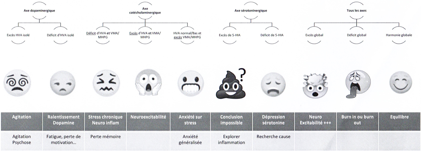 biologies-neurotransmetteurs-1