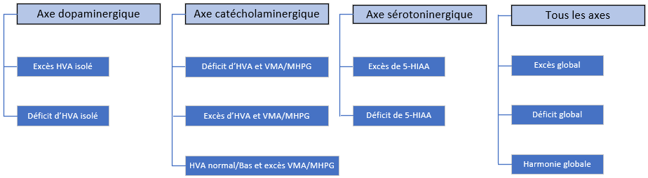 biologies-neurotransmetteurs-3